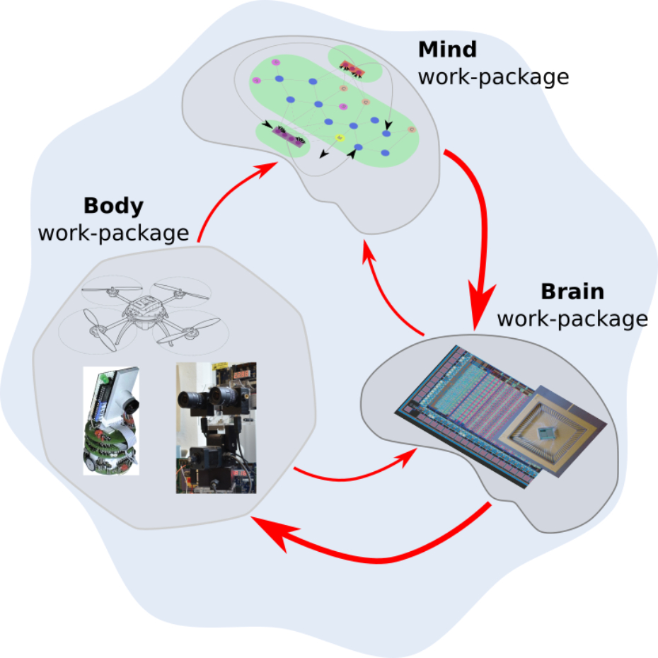 Grafik Neuromorphic Cognitive Systems