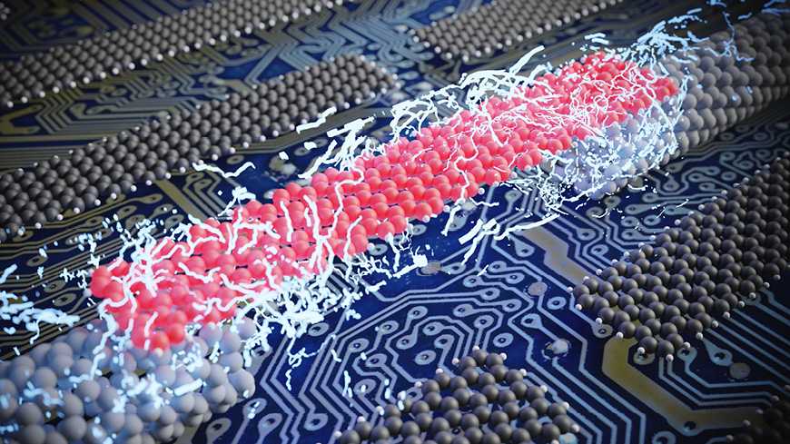 carbon nanotube electrodes
