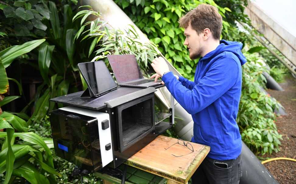 Lemur research